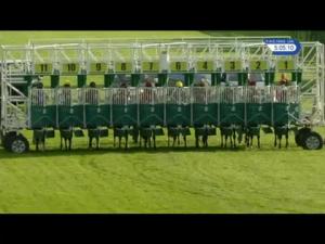 Video preview image for Redcar 17:05 - Watch Racing UK On The Go Apprentice Handicap (5)