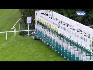 Video preview image for Sandown Park 13:30 - Quarry Street Capital Supports Racehorse Rehabilitation Handicap (Qualifier) (5)