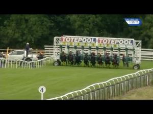 Video preview image for Beverley 13:50 - Bet Toteplacepot At betfred.com Claiming Stakes (6)