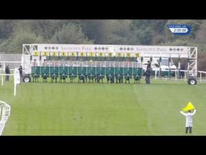 Video preview image for Sandown Park 14:00 - gg.co.uk Supports The Racehorse Sanctuary EBF Novice Stakes (5)