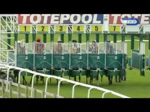 Video preview image for Beverley 14:20 - Bet Toteexacta At betfred.com EBF Fillies' Novice Stakes (5)