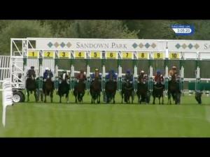 Video preview image for Sandown Park 15:05 - Racehorse Sanctuary Fortune Stakes (Listed) (1)