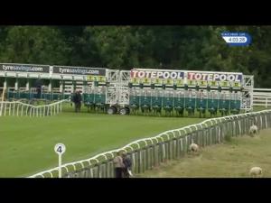 Video preview image for Beverley 16:00 - Bet Totewin At betfred.com Handicap (5)