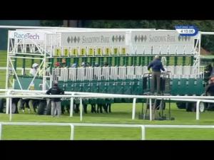 Video preview image for Sandown Park 16:15 - Molson Coors Handicap (Qualifier) (4)