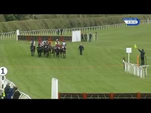 Video preview image for Kelso 16:30 - Edinburgh Gin Novices' Hurdle (4)