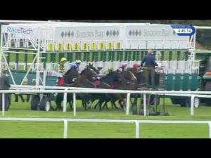 Video preview image for Sandown Park 16:45 - All New racinguk.com Fillies' Handicap (5) (Div 1)