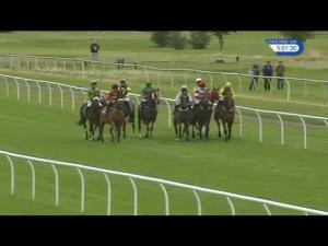 Video preview image for Kelso 17:00 - Tweed Salmon Fishers Handicap Chase (Qualifier) (4)
