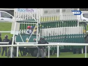 Video preview image for Sandown Park 17:15 - All New racinguk.com Fillies' Handicap (5) (Div 2)
