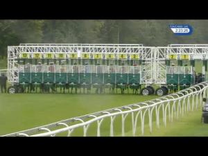 Video preview image for Pontefract 14:20 - Book Your 23rd October Totepool Package Median Auction Maiden Stakes (5)