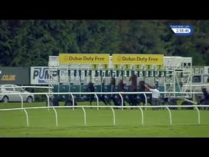 Video preview image for Newbury 14:55 - Dubai Duty Free Handicap (2)