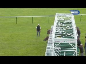 Video preview image for Newmarket 14:00 - International Stud Book Committee Handicap (3)