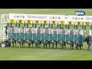 Video preview image for Newmarket 15:45 - Fairfax & Favor EBF Fillies' Novice Stakes (4) (Div 2)