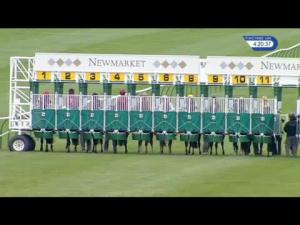 Video preview image for Newmarket 16:20 - Roa/Racing Post Owners Jackpot Handicap (4)