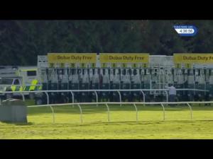 Video preview image for Newbury 16:35 - Dubai Duty Free Finest Surprise Handicap (3)