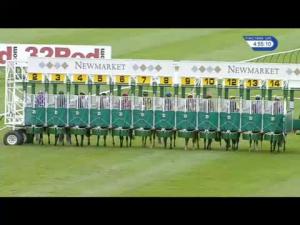 Video preview image for Newmarket 16:55 - Wingate Signs Wsg Handicap (4)