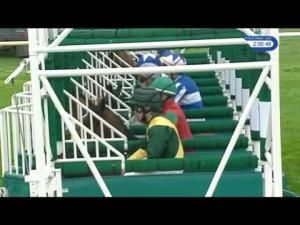 Video preview image for Leicester 14:00 - Aston Flamville Fillies' Nursery Handicap (5)