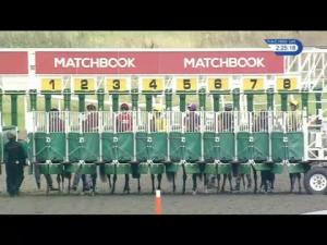 Video preview image for Kempton Park 14:25 - Matchbook/British Stallion Studs EBF Novice Stakes (4)