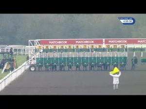 Video preview image for Kempton Park 16:05 - Matchbook/British Stallion Studs EBF Fillies' Novice Stakes (4) (Div 2)