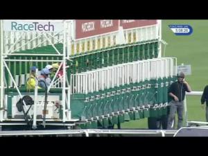 Video preview image for Kempton Park 17:05 - Roa/Racing Post Owners' Jackpot Handicap (4)