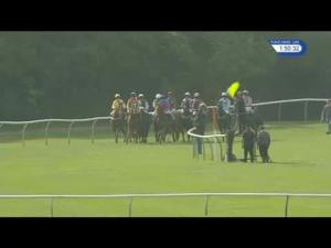 Video preview image for Warwick 13:50 - All New racinguk.com Novices' Hurdle (4)
