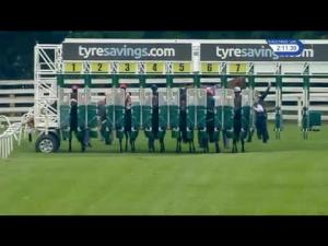 Video preview image for Beverley 14:10 - Beverley Annual Badgeholders Novice Auction Stakes (5)