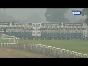 Video preview image for Beverley 17:25 - Brian and Jason Merrington Memorial Amateur Riders' Handicap (6) (Div 1)
