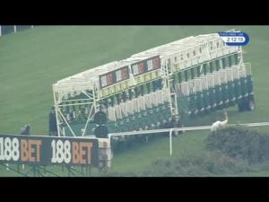 Video preview image for Goodwood 14:10 - "Get 1/4 Odds At 188Bet" Future Stayers' Maiden Stakes (3)