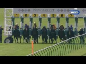 Video preview image for Newmarket 14:35 - newmarketracecourses.co.uk Nursery