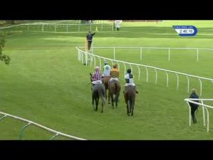 Video preview image for Perth 14:45 - Anderson Anderson & Brown Handicap Hurdle (Qualifier) (4)
