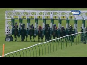 Video preview image for Newmarket 15:10 - Swynford Manor Wedding Venue Fillies' Handicap