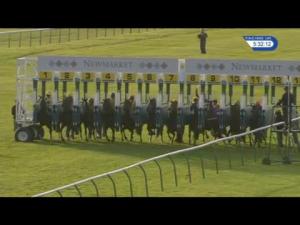Video preview image for Newmarket 17:30 - Molson Coors Handicap