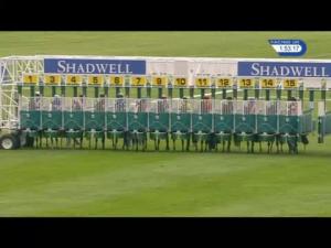 Video preview image for Newmarket 13:50 - Muhaarar British EBF Rosemary Stakes (Listed) (1)