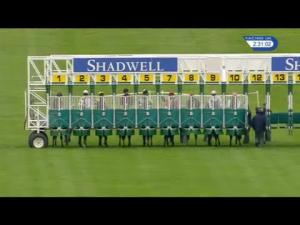 Video preview image for Newmarket 14:25 - Princess Royal Nayef Stakes (Group 3) (1)