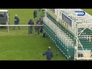 Video preview image for Newmarket 15:00 - Shadwell Rockfel Stakes (Group 2) (1)