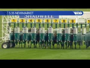 Video preview image for Newmarket 15:35 - Shadwell Joel Stakes (Group 2) (1)