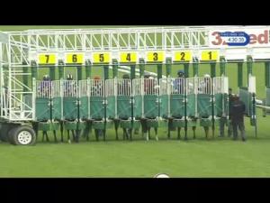 Video preview image for Haydock Park 16:30 - Watch Racing UK On Bt TV Handicap (3)