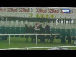 Video preview image for Haydock Park 13:35 - 32Red EBF Fillies' Novice Stakes (5)