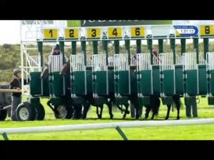Video preview image for Newmarket 13:50 - Juddmonte Royal Lodge Stakes (Group 2) (1)