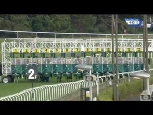 Video preview image for Musselburgh 16:45 - Robert Purvis Plant Hire Handicap (5)