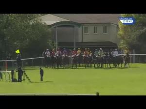 Video preview image for Warwick 14:15 - Old Fourpenny Shop 'National Hunt' Novices' Hurdle (4)