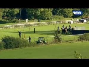 Video preview image for Warwick 16:25 - Colliers International Business Rate Services Handicap Chase (3)