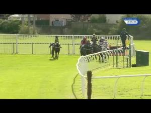 Video preview image for Kelso 14:05 - Newcastle Arms Coldstream Handicap Hurdle (4) (Div 2)