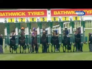 Video preview image for Salisbury 14:05 - Bathwick Car & Van Hire Novice Auction Stakes (5)