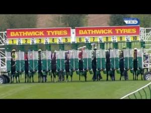 Video preview image for Salisbury 14:35 - Byerley Stud EBF Fillies' Novice Stakes (5)