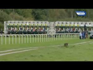 Video preview image for Pontefract 15:55 - Napoleons Casino Bradford Handicap (5)