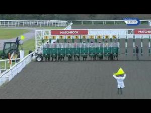 Video preview image for Kempton Park 17:25 - Matchbook Casino Novice Stakes (5) (Div 1)