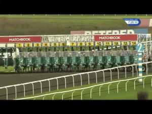Video preview image for Kempton Park 19:25 - Matchbook Vip Handicap (4)