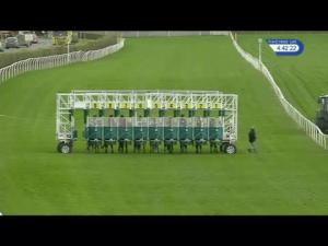 Video preview image for Catterick Bridge 16:40 - Wise Betting At racinguk.com Handicap (5) (Div 2)
