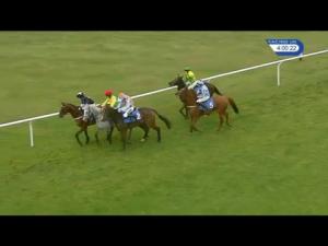Video preview image for Ludlow 16:00 - Vera Davies Memorial Chase (Novices' Limited Handicap) (3)