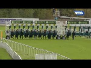Video preview image for York 15:20 - British Stallion Studs EBF Novice Stakes (3)
